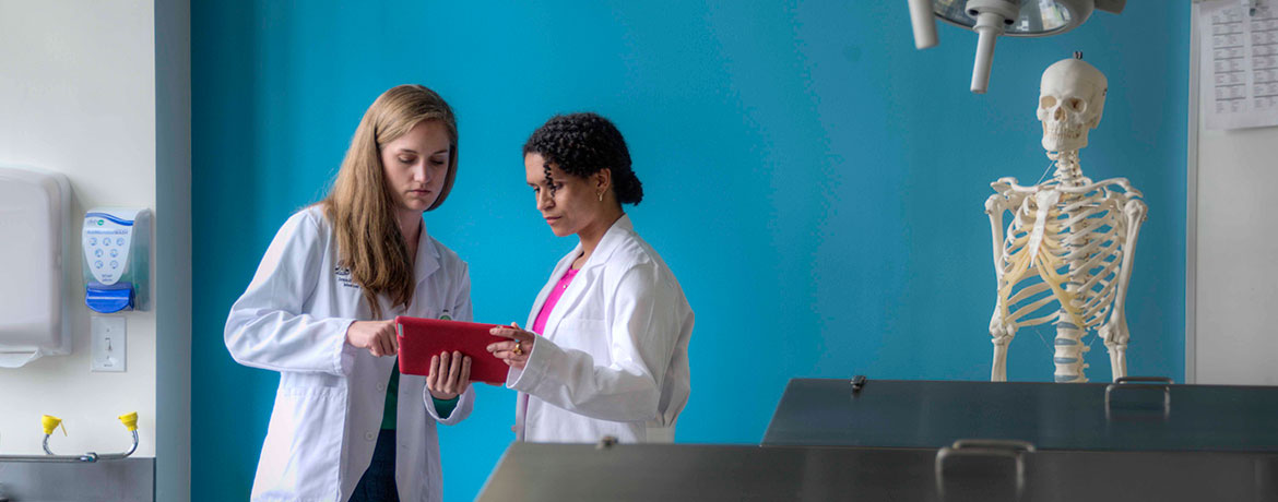 Photo: School of Medicine Greenville at a Glance
