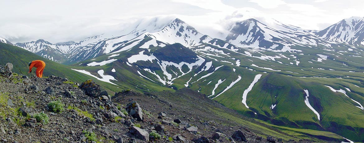 Banner: Geological Sciences